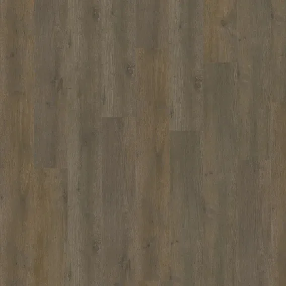 Adelar Eterna Acoustic Major Oak 05871 Adelar  купить по акции в март 2026 в магазине Дисорт Самара