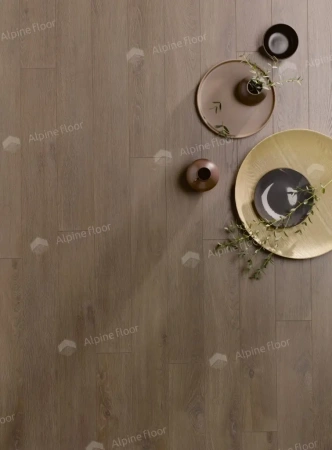 Ламинат Homflor Patio Patio 560 Olbia Oak