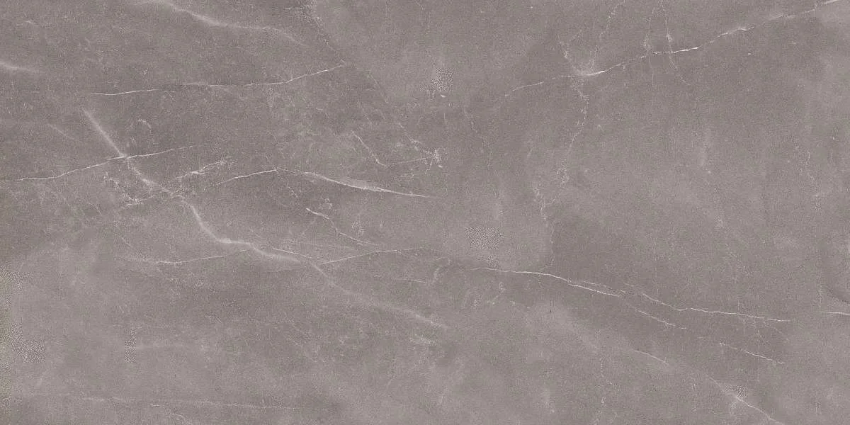 Керамогранит Art Ceramic Armani Armani Gris 600x1200 Glossy