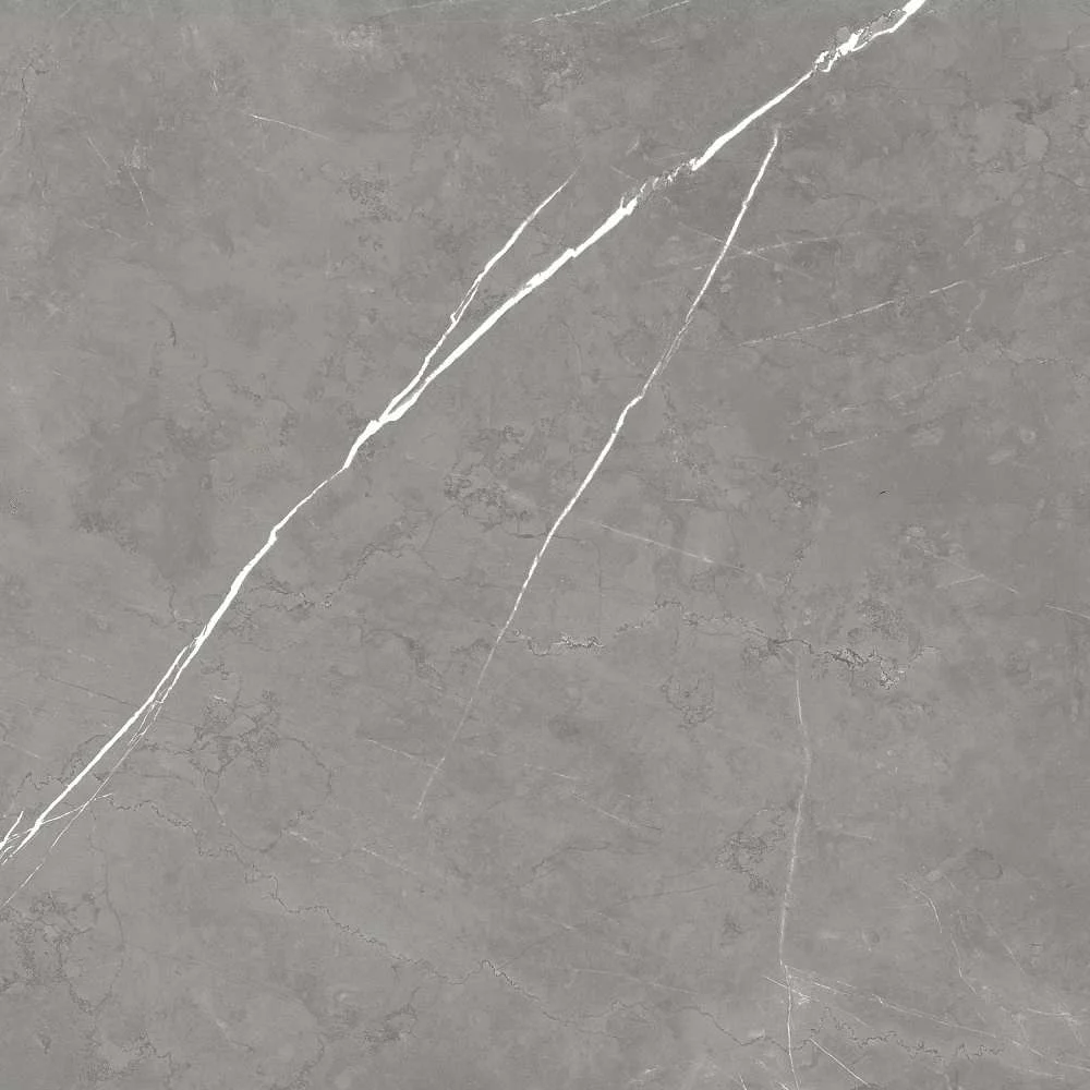 Керамогранит Atlas Concorde Forte Dei Marmi Elegant Grey 600010002407 Forte Dei Marmi Elegant Grey 120x120 9 мм MATT