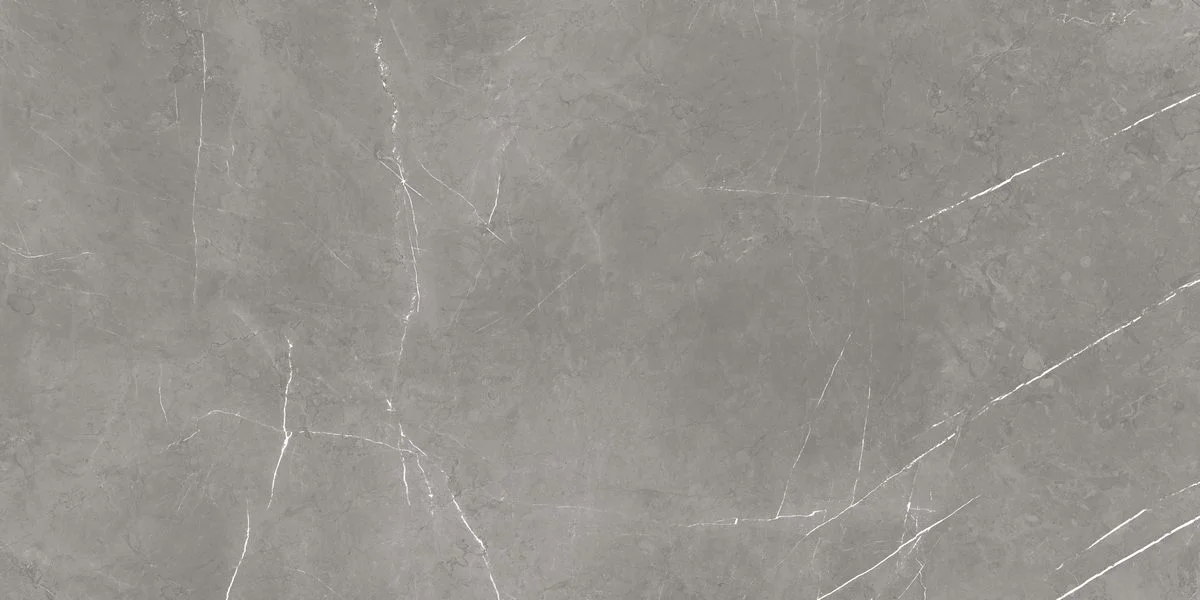 Керамогранит Atlas Concorde Forte Dei Marmi Elegant Grey 610015000657 Forte Dei Marmi Elegant Grey 120x60 9 мм SATIN