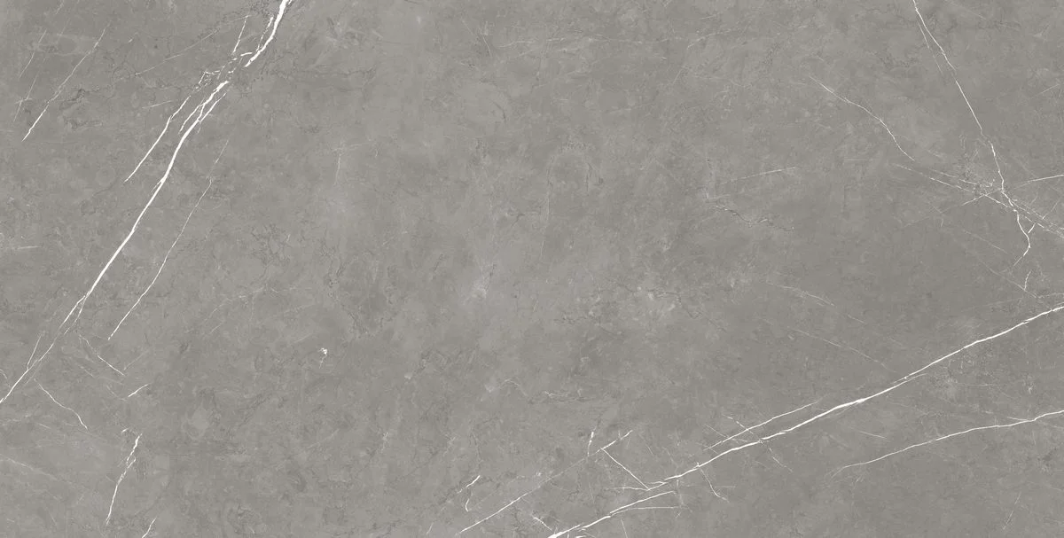 Керамогранит Atlas Concorde Forte Dei Marmi Elegant Grey 610010002710 Forte Dei Marmi Elegant Grey 160x80 9 мм MATT