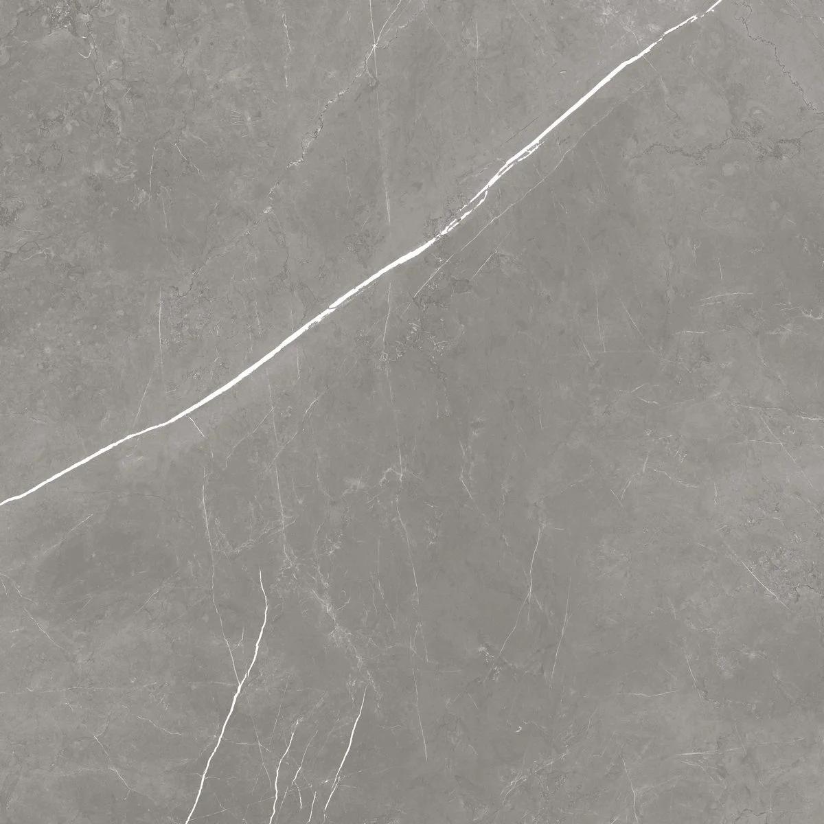 Керамогранит Atlas Concorde Forte Dei Marmi Elegant Grey 610015000649 Forte Dei Marmi Elegant Grey 80x80 9 мм LAP