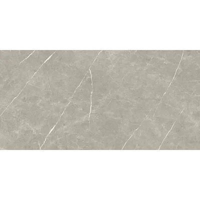 Керамогранит Baldocer Eternal Eternal Taupe Natural 600x1200 NAT