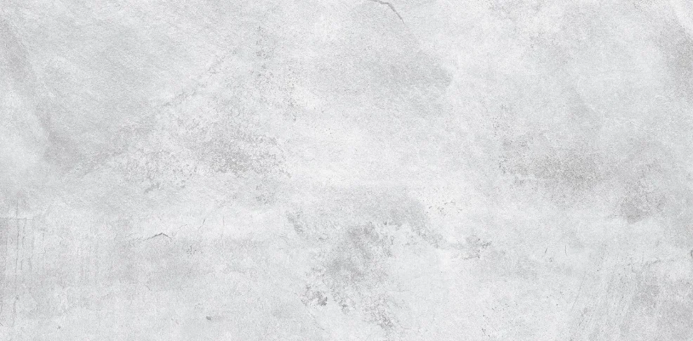 Керамогранит Dogma Project Antibacterial Urban DPA601208M Urban Silver Matt Rettificato 600*1200 MATT