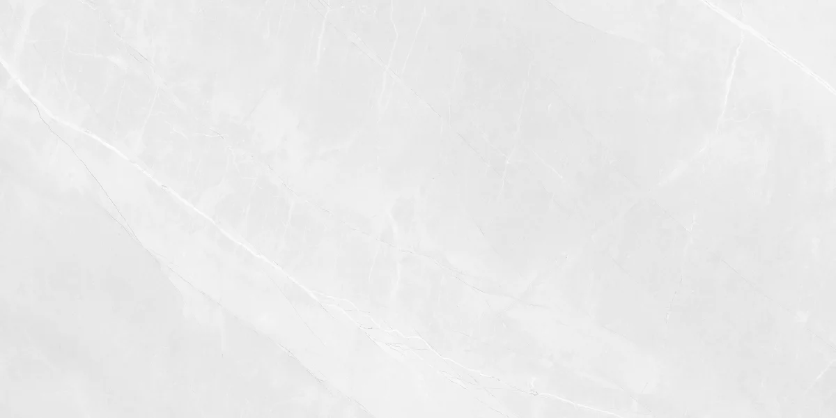 Керамогранит Elemento Yamuna YAMUNA WHITE 60 X 120 GLOSSY