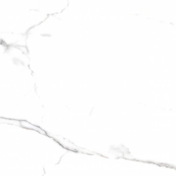 Керамогранит Primavera Salvatore CR117 Salvatore 600x600 CARVING