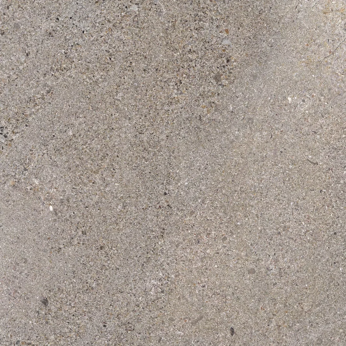 Керамогранит Prime Ceramics Terra GRP6060TR-SI Silver 600*600 MATT