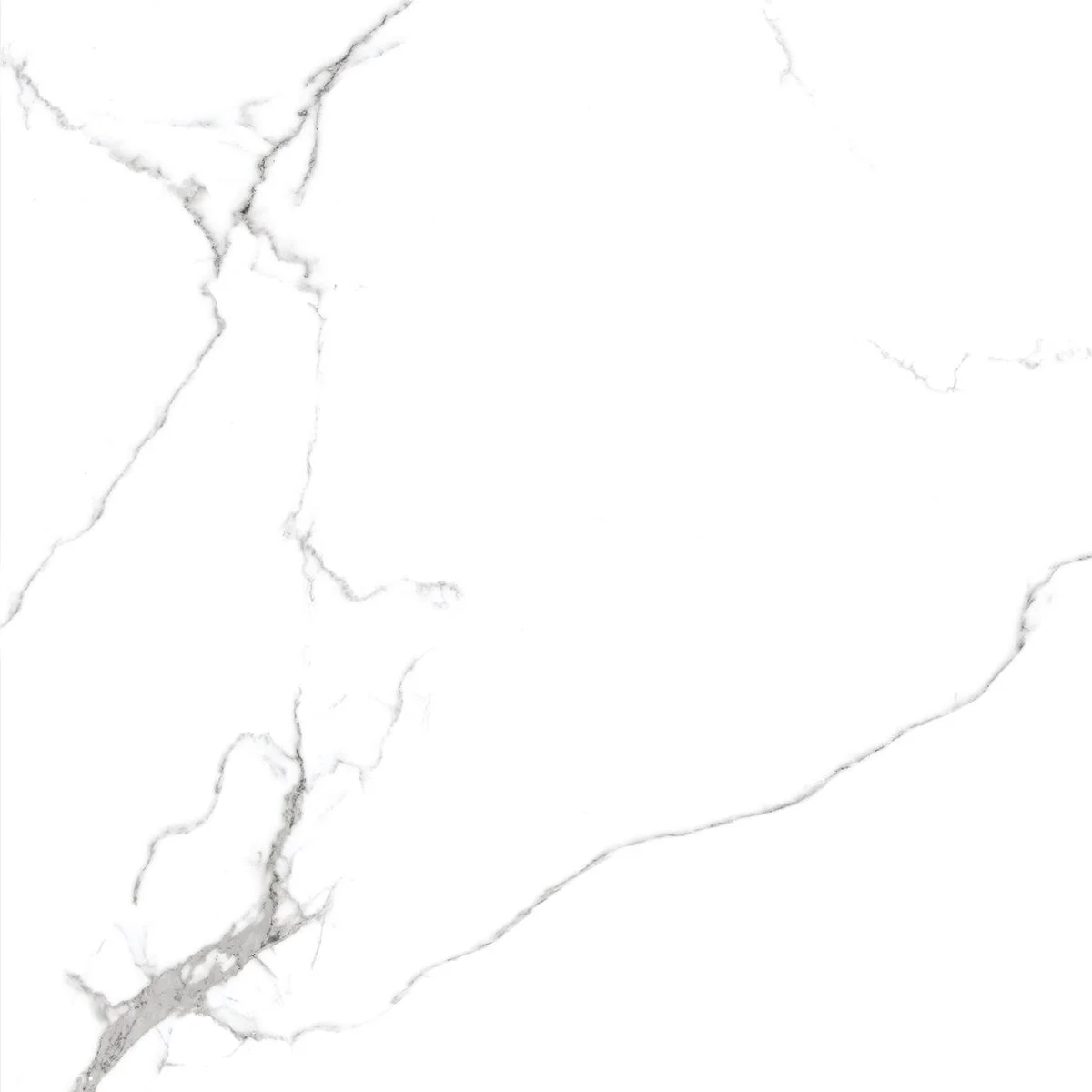 Керамогранит Royce Calacatta Venatino NR1001 Calacatta Venatino 600x600 MATT