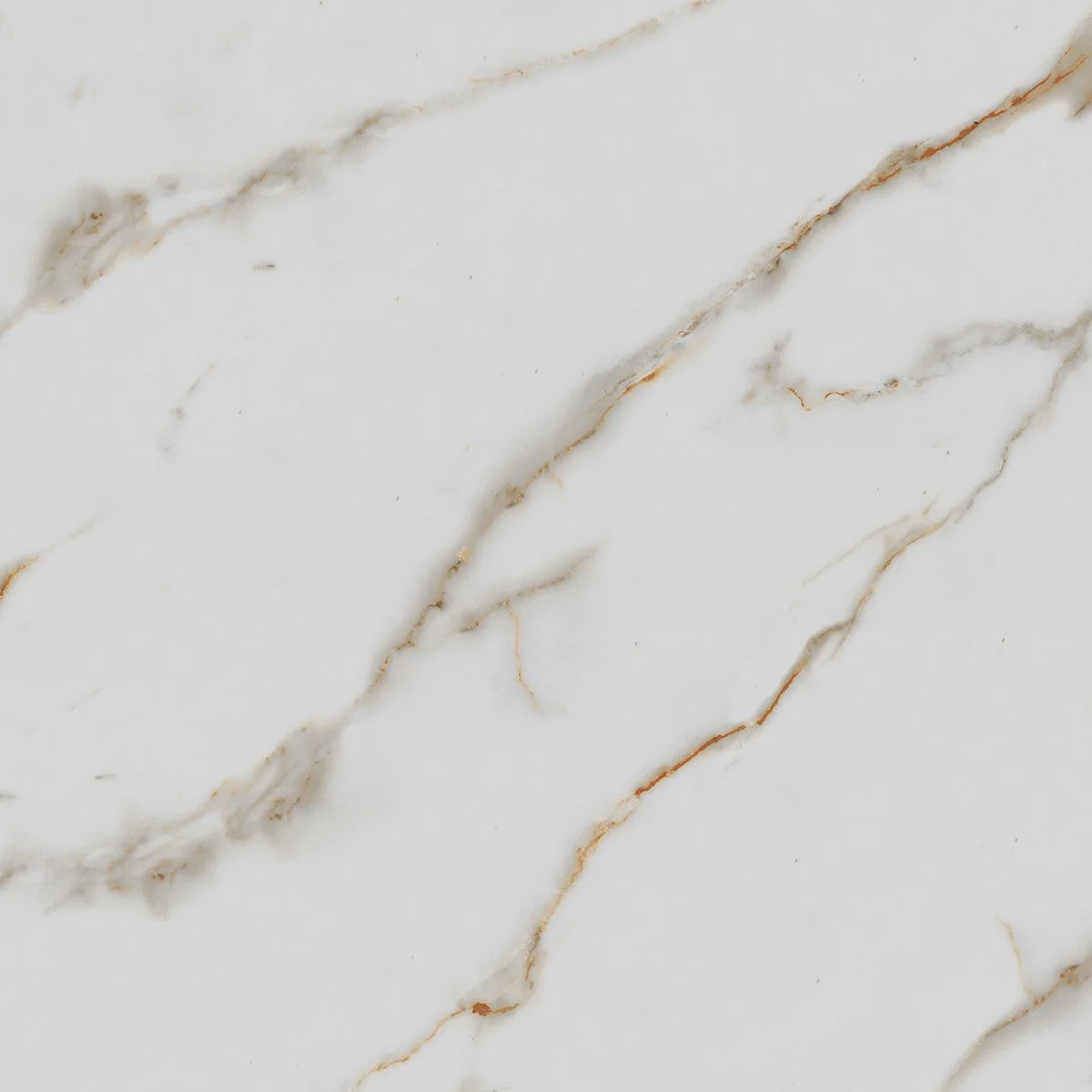 Керамогранит Royce Calacatta Gold PR1003 Calacatta Gold 600x600 POLISH