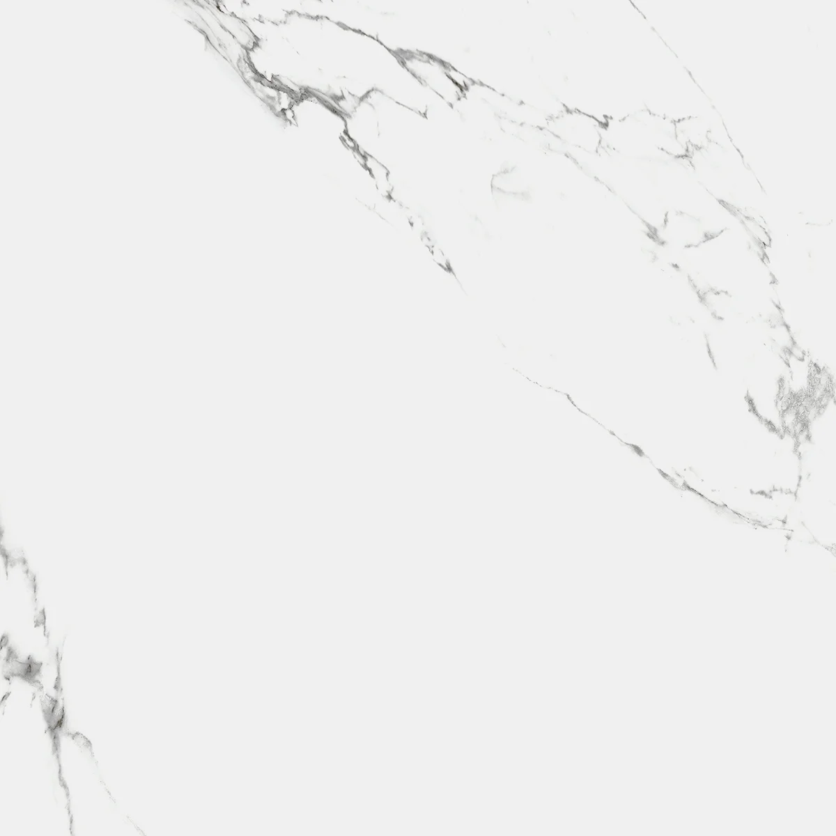 Керамогранит Royce Carrara Marmo NR1002 Carrara Marmo 600x600 MATT