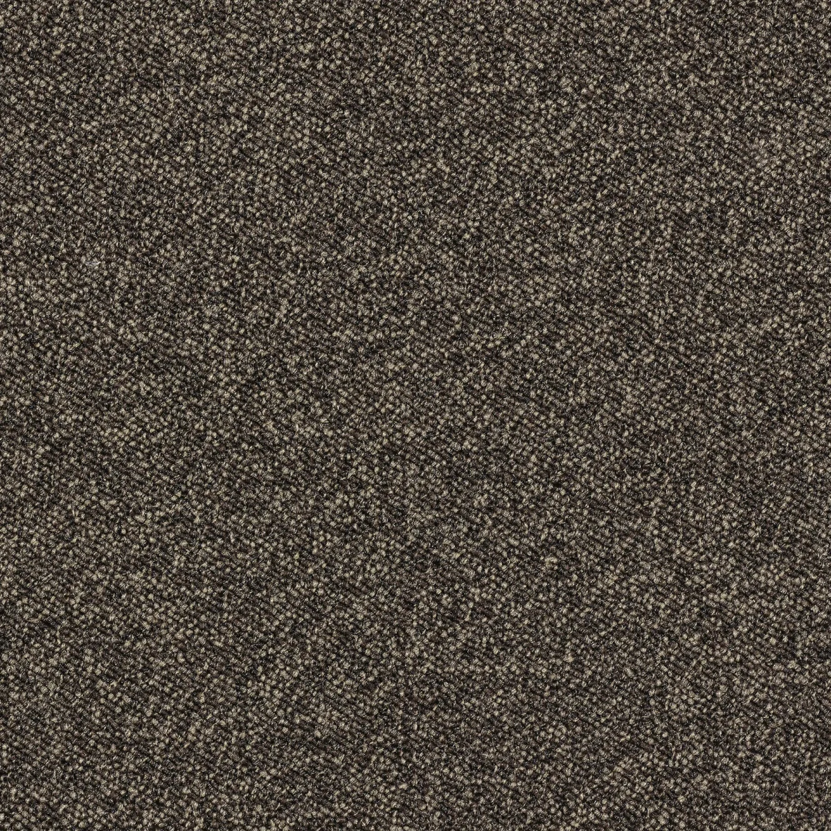 Ковролин Associated Weavers Maxima 45