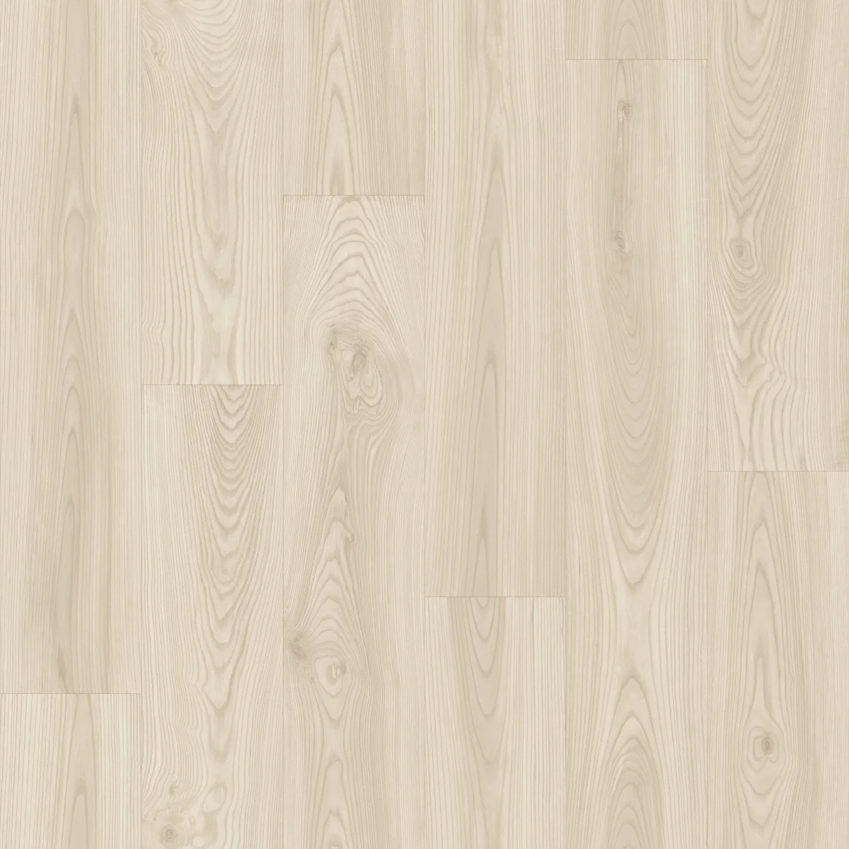 SOFTWOOD 1