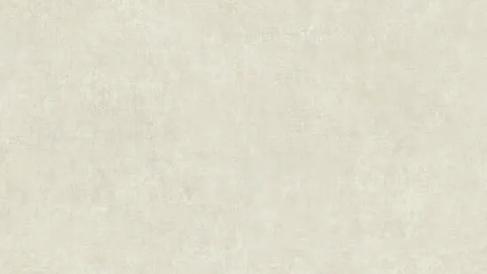 Линолеум Tarkett Philosophy Concrete 3