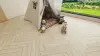 Ламинат Alpine Floor Herringbone 12 LF105-03 Дуб Лацио