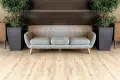 Alpine Floor Classic Light ECO 106-22 Дуб Ваниль