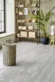 Alpine Floor Intense ECO 9-1 Норвежский Лес