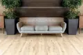 Alpine Floor Easy Line ECO 3-4 Дуб Ваниль