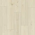 Classen Pro Nature 62540 Neiva