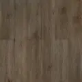 Dew Дерево Андаман