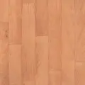 Линолеум Tarkett Omnisports ACTION Oak Classic (Рулон 2,0 м.)
