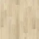 Линолеум Sinteros Bonus Duncan 1 (Отрезной 3,0 м.)