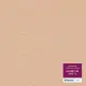 Линолеум Tarkett Acczent PRO Aspect 5 (Отрезной 2,0 м.)