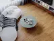 Norland Sigrid LVT Blake 1003-2