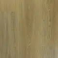 Dew Дерево Тимор