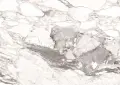 Керамогранит Kutahya Calacatta Oreo 1200х600 POLISH