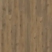 Adelar Eterna Acoustic Major Oak 05855