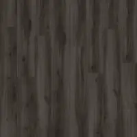 Moduleo Next Acoustic Tradition Oak 890