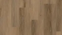 Timber Eastwood Raquel