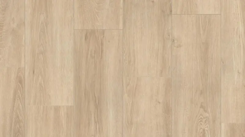 Timber Blackwood ALEXANDER по акции