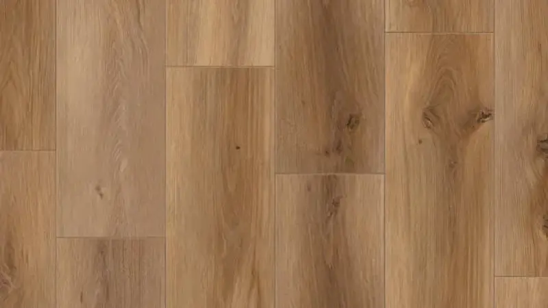 Timber Eastwood Munro по акции