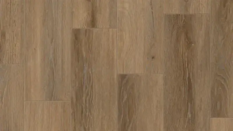 Timber Eastwood Raquel по акции