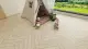 Ламинат Alpine Floor Herringbone 12 LF105-03 Дуб Лацио