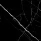 Керамогранит Primavera CR125 Oltan Black Techno Matt 600x600 CARVING